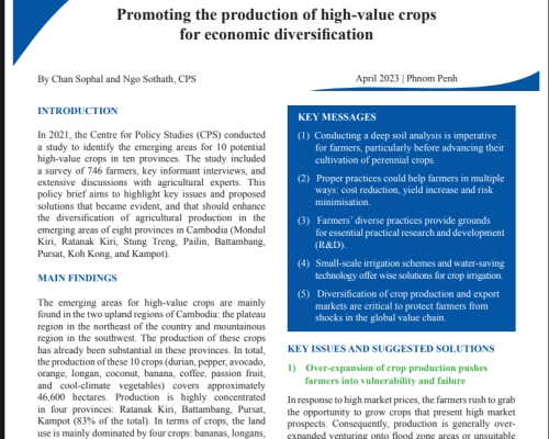 Policy Brief 12 (2023) Promoting the production of high value crops for economic diversification_EN